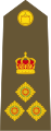 Brigadier (Tongan Land Component)[25]