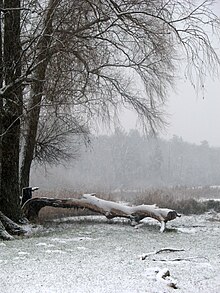 Ukraine Irpen 2010. First snow. By the river Irpen.jpg