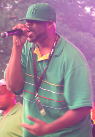 <span class="mw-page-title-main">Cappadonna</span> American rapper from New York