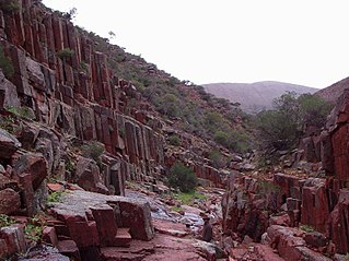 <span class="mw-page-title-main">Tirari–Sturt stony desert</span> Ecoregion in central Australia