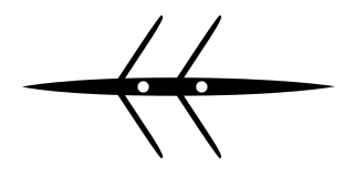 <span class="mw-page-title-main">Double scull</span> Type of boat used in competitive rowing