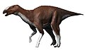 Eotrachodon