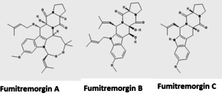 <span class="mw-page-title-main">Fumitremorgin</span>