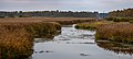 * Nomination Landscape around the lake 'Federsee' --Stephan Sprinz 11:43, 3 May 2023 (UTC) * Decline  Oppose Chromatic noise on sky and foreground, sorry --Ezarate 11:43, 6 May 2023 (UTC)