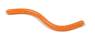 <span class="mw-page-title-main">Plastic worm</span> Plastic fishing lure