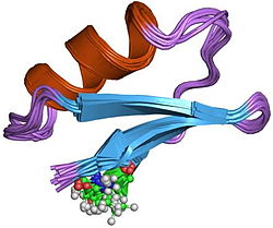 Charybdotoxin a