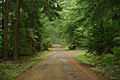 Logging railroad converted to logging truck use in northwest Oregon