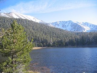 <span class="mw-page-title-main">San Gorgonio Wilderness</span> Protected wilderness area in California, United States