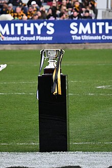 The VFL Premiership Cup VFL Cup 2024.jpg