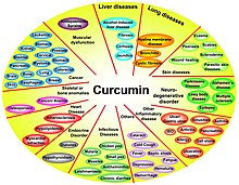 Effect of curcumin on various proinflammatory diseases.