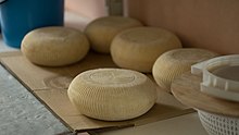 Ossetian cheese Osetinskii syr.jpg