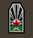 нарукавный знак 1922