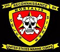 3rd Reconnaissance Battalion insignia