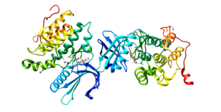 <span class="mw-page-title-main">AAK1</span> Protein-coding gene in the species Homo sapiens