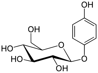 <span class="mw-page-title-main">Arbutin</span> Glycoside