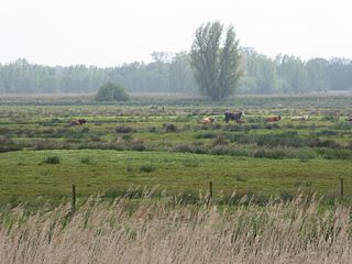 Barnby Broad and Marshes