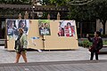 Carteles electorales de diferentes partidos.