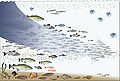 Image 57Fishing down the food web (from Marine food web)