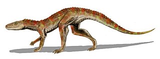 <i>Hesperosuchus</i> Extinct genus of reptiles