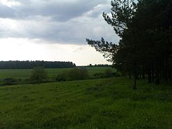 Landscape in Lyambirsky District