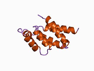 <span class="mw-page-title-main">ATP synthase delta/OSCP subunit</span> Subunit of bacterial and chloroplast F-ATPase/synthase