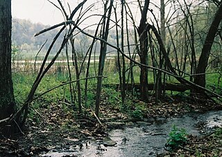 <span class="mw-page-title-main">Richhill Township, Greene County, Pennsylvania</span> Township in Pennsylvania, United States