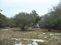 Sabakalal, Yucatán.