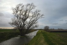 Rivière endiguée linéarisée.