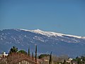 20 février 2013 Skier en Provence, au soleil ! si, si, c'est possible ! (Mont Ventoux)