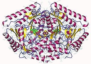 <span class="mw-page-title-main">4-aminobutyrate transaminase</span> Class of enzymes