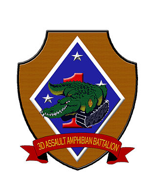 <span class="mw-page-title-main">3rd Assault Amphibian Battalion</span> Assault amphibian battalion