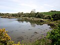 Anse de la rive gauche de l'Aber Ildut près de Keréarnin.