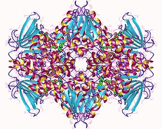 <span class="mw-page-title-main">L-ornithine N5 monooxygenase</span> Enzyme