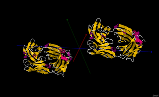 <span class="mw-page-title-main">Cetuximab</span> Pharmaceutical drug