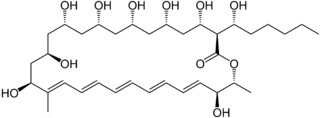 <span class="mw-page-title-main">Filipin</span> Chemical compound