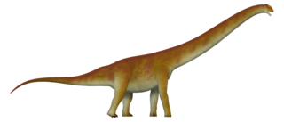 <i>Jiangxititan</i> Genus of somphospondylan sauropod dinosaurs