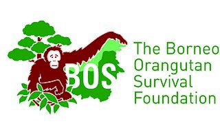 <span class="mw-page-title-main">Borneo Orangutan Survival</span> Non-profit orangutan conservation foundation