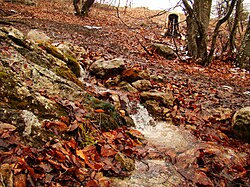 Родник Саурган, исток реки