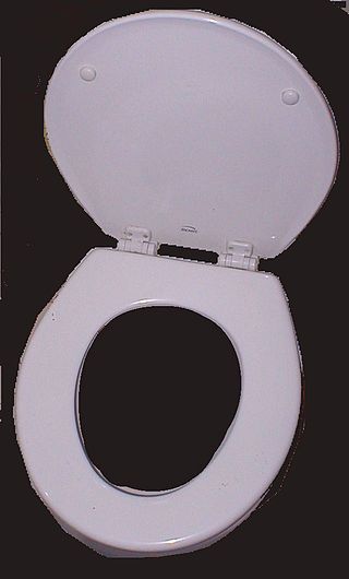 <span class="mw-page-title-main">Toilet seat</span> Hinged attachment to toilet bowl, round and open