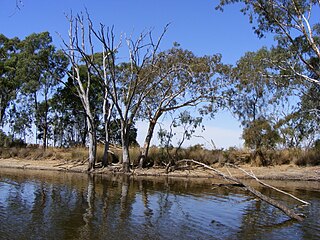 <span class="mw-page-title-main">Totness Recreation Park</span> Protected area in South Australia