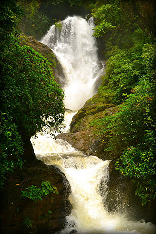 <span class="mw-page-title-main">Vibhuthi Falls</span>