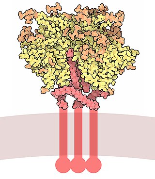 <span class="mw-page-title-main">Envelope glycoprotein GP120</span> Glycoprotein exposed on the surface of the HIV virus