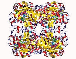 <span class="mw-page-title-main">L-threonine 3-dehydrogenase</span> Class of enzymes