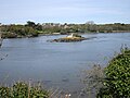 Îlot situé dans l'Aber Ildut vu depuis la rive gauche de cet aber entre Keréarnin et Kerveatouz Vihan (en Plouarzel) ; à l'arrière-plan la rive droite près de Gouer Bihan (en Lanildut).