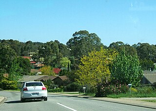 <span class="mw-page-title-main">Aberfoyle Park, South Australia</span> Suburb of Adelaide, South Australia