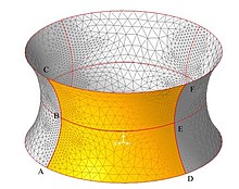 Fig 3. Catenoidal surface Cathenoid 11.jpg