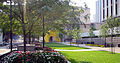 Forbes Quad. The side of Hillman Library can be seen on the right.