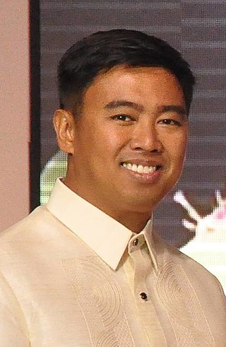 <span class="mw-page-title-main">Jejomar Binay Jr.</span> Filipino politician (born 1977)