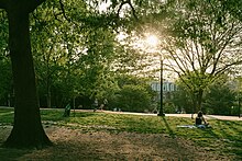 Photograph of a park