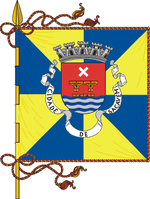 Bandeira Sakavain nian